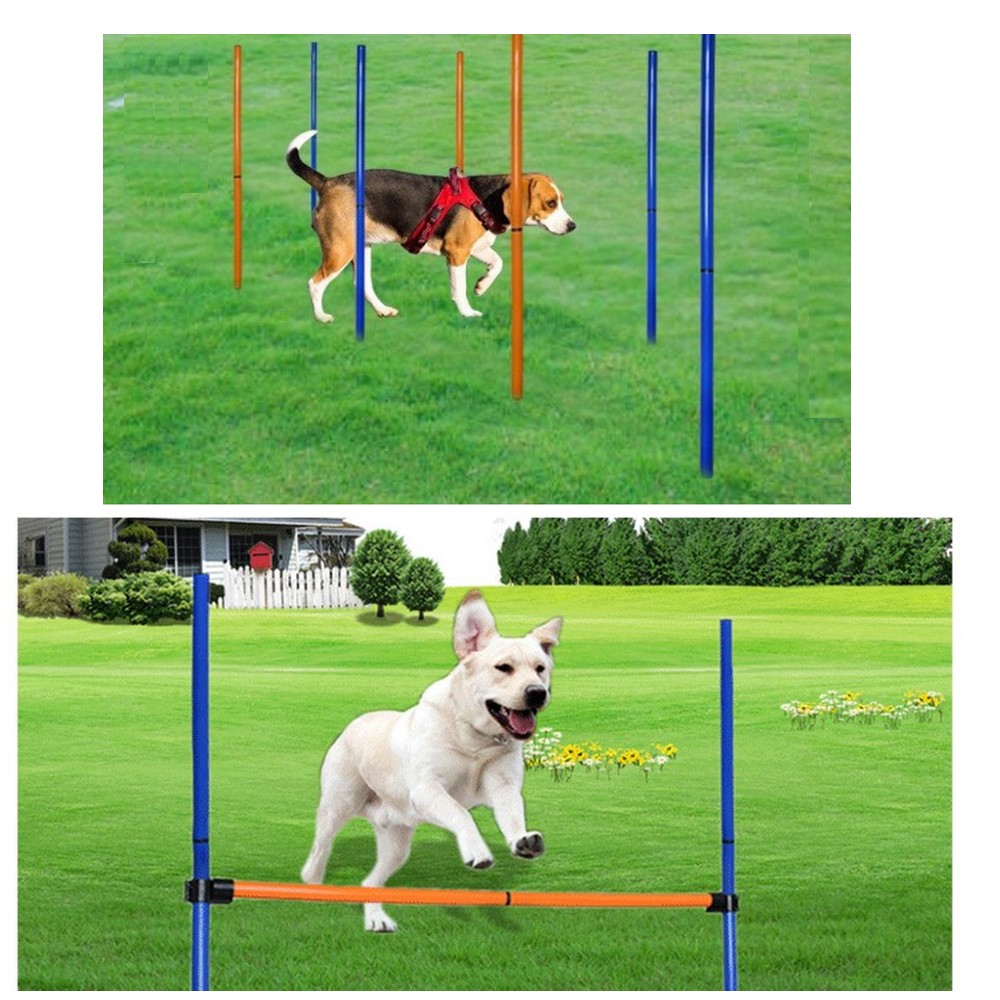 Pet Dog Agility Equipment Set  - đánh giá và giá Sports Equipment Kit