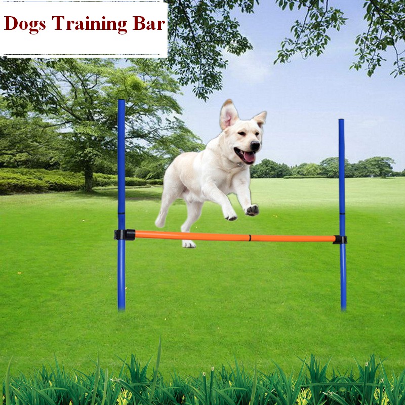 Pet Dog Agility Equipment Set  - đánh giá và giá Sports Equipment Kit